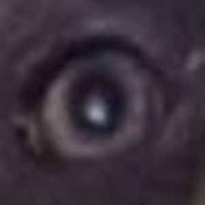 Meet your Posher, Evan